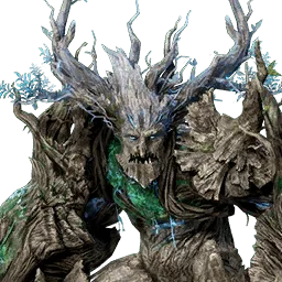 Wise Baumnute