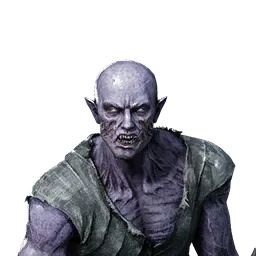 Rotten Ancient Wraith