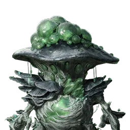 Expanding Xyrepe