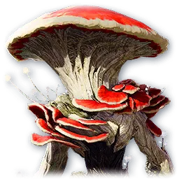 Red Cap Fungen