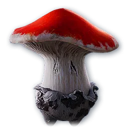 Mushroom Cave Fungie