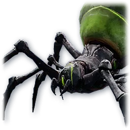 Shadow Spider